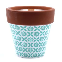 Agnes + Cat Herb Garden Candles - Rosemary