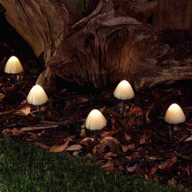 Solarcentre® Forest Outdoor Solar Powered Mushroom Lights Set Of 12