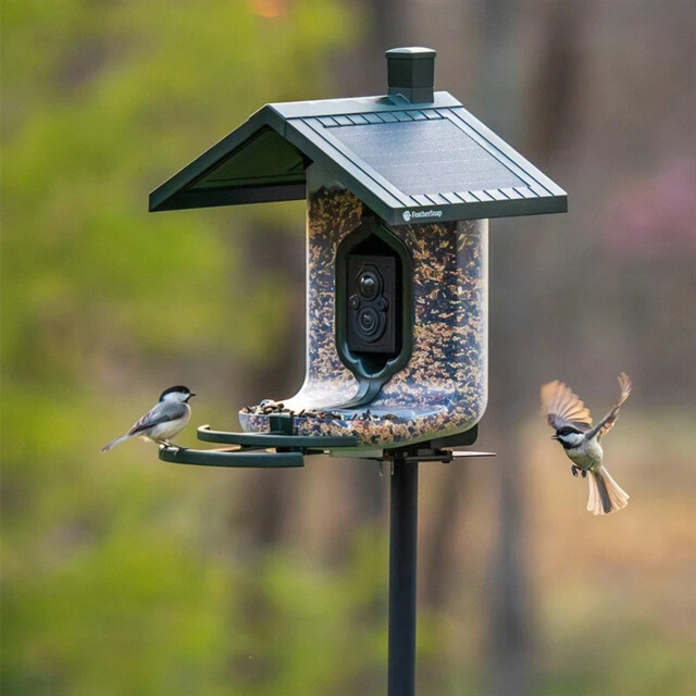 Feathersnap Scout Smart Bird Feeder (fsbf001)