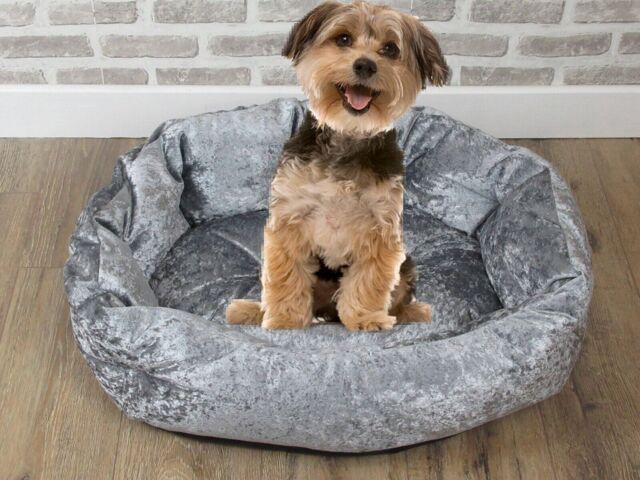 Small Washable Grey Crushed Velvet Dog / Cat Bed With Button Style