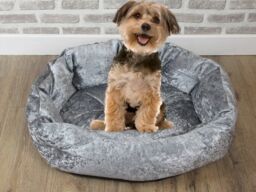 Small Washable Grey Crushed Velvet Dog / Cat Bed With Button Style