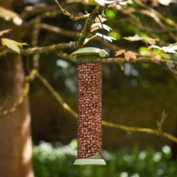 Twist Top Hanging Peanut Bird Feeder Size 30cm Chapelwood Easy Clean