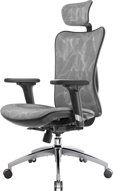 Sihoo M57 Ergonomic Office Chair, Desk Chair With Adjustable Armrests