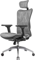 Sihoo M57 Ergonomic Office Chair, Desk Chair With Adjustable Armrests