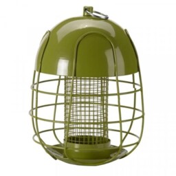 Acorn Squirrel Proof Bird Feeder Seed Nut Fat Ball Feeding Station