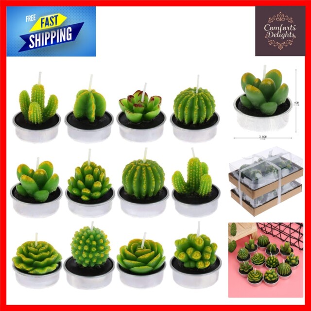 12 Pcs Cactus Candles, Handmade Cactus Succulent Cactus Tealight For