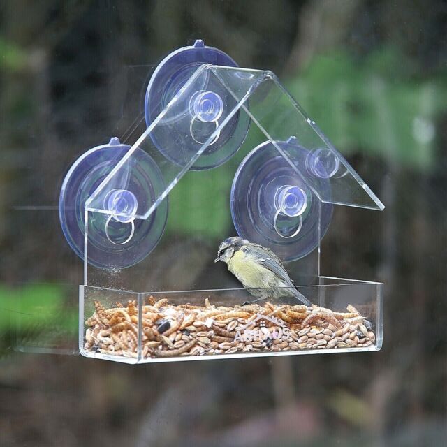 Garden Bird Feeder Window Clear Seed Tray Feeding Outdoor Decor