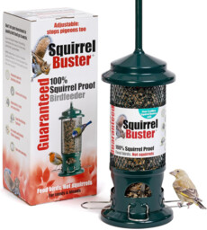 Squirrel Proof Bird Feeder For Seeds - Jacobi Jayne® Squirrel Buster®
