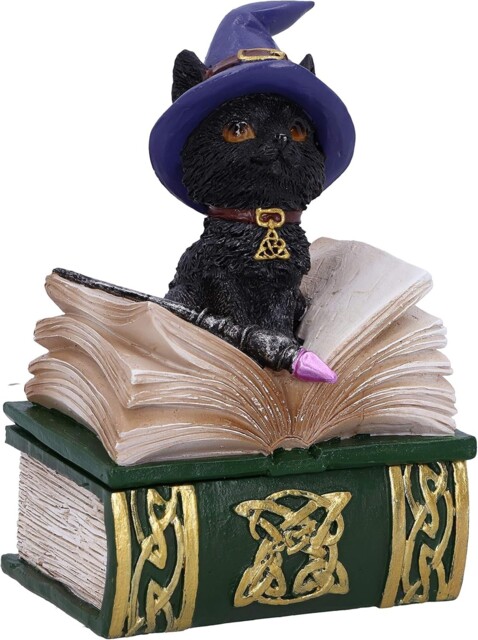 Binx Small Witches Familiar Black Cat And Spellbook Figurine Box