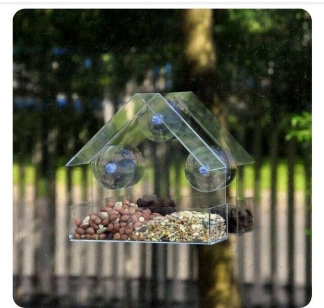 Glass Window Bird Feeder Clear Perspex Viewing Suction Cup Hanging