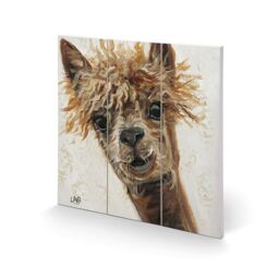 Louise Brown (bad Hair Day) 30 X 30cm Wooden Wall Art Print