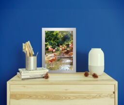 A4 Frames Pack Of 6, Certificate Picture Frame