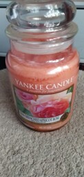 Yankee Candle Large Jar Sun Drenched Apricot Rose Brand