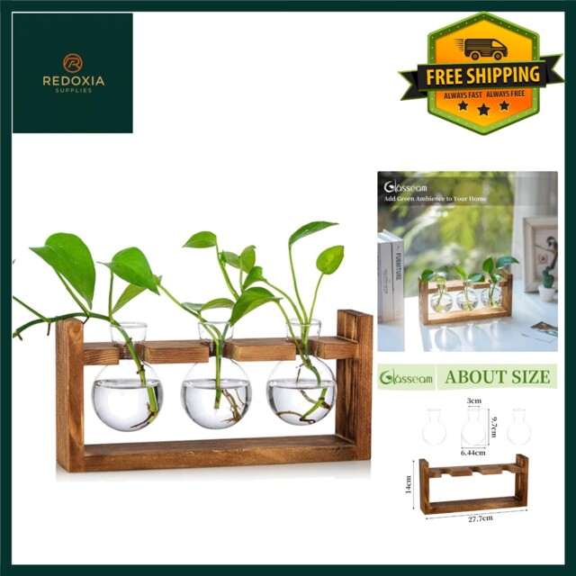 Elegant Glass Bulb Vase Propagation Station With Wooden Stand, 3 Pcs