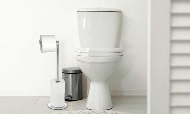 Chrome Stainless Steel Toilet Loo Roll Holder Bathroom Storage Free