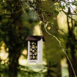 Bird Feeder Wooden Energy Ball Tower Garden Wildlife Peckish Woodland