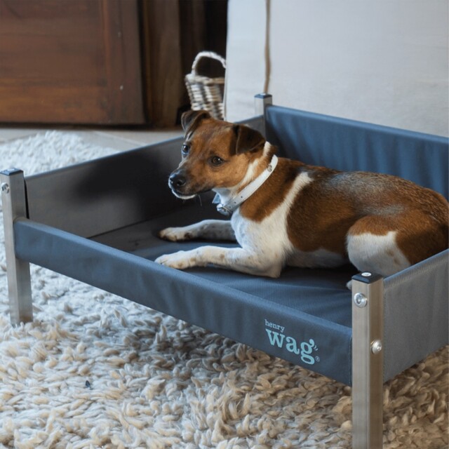Henry Wag Elevated Dog Bed