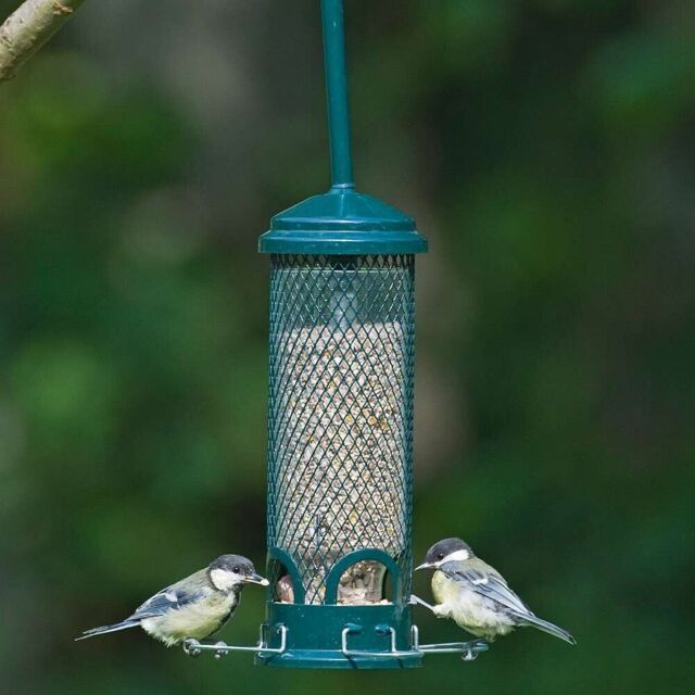 Mini Wild Bird Feeder Seed Holder Garden Hanging 100% Squirrel Proof