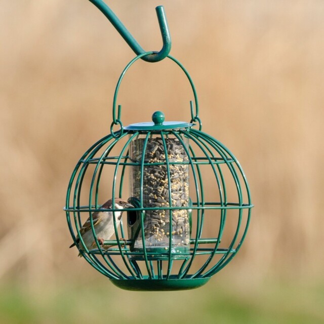 The London Squirrel Resistant Seed Feeder For Garden Birds