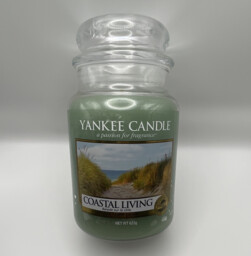 Yankee Candle Coastal Living Large Jar Candle Single Wick Green 623g