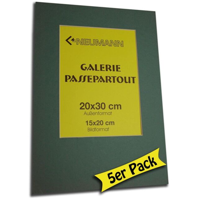 Passepartouts 5-pack 20x30 Color Turquoise