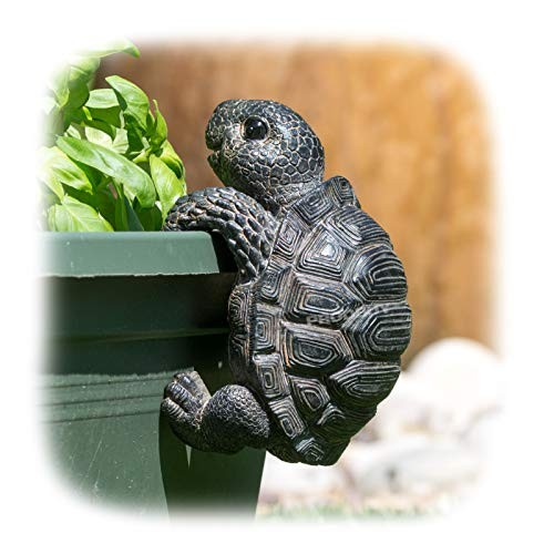 Light Black Tortoise Hanging Plant Pot Garden Ornament - Home Decor