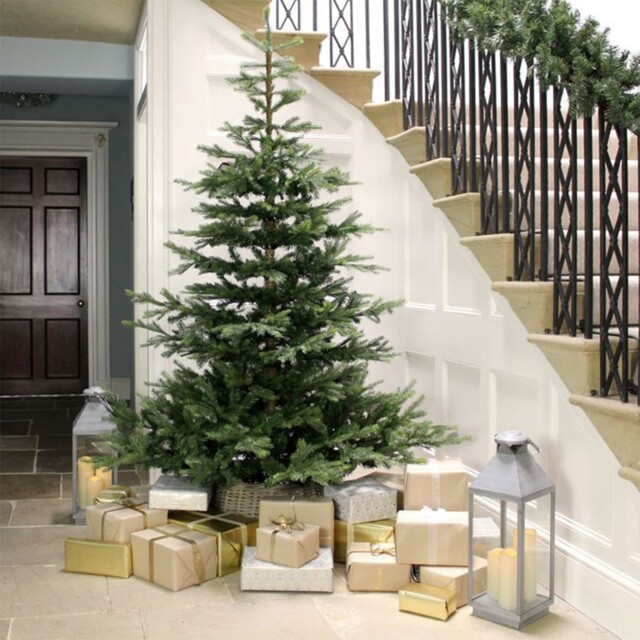 Kaemingk Everlands Grandis Realistic Look Artificial Fir Christmas
