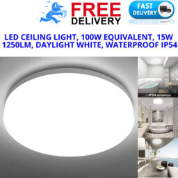 Led Ceiling Light, 100w Equivalent, 15w 1250lm, Daylight White,