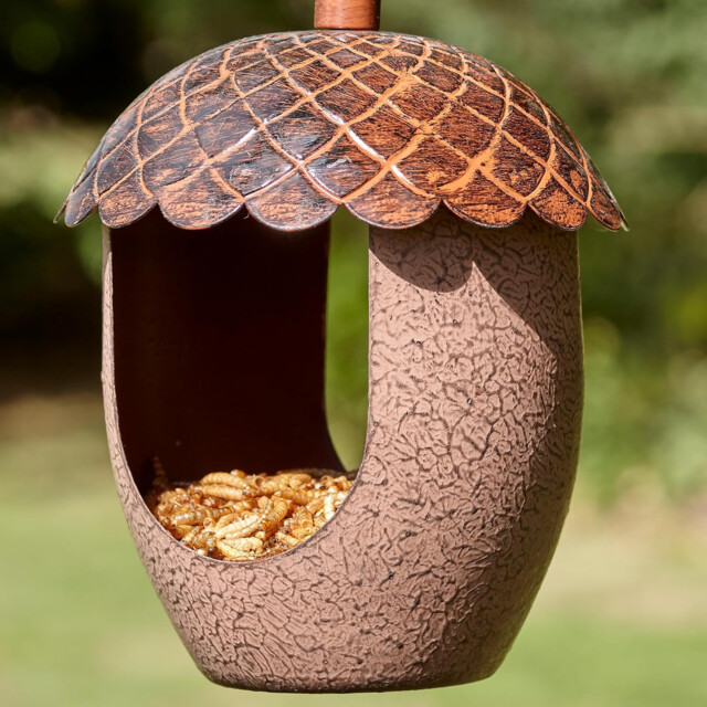 Peckish Hanging Bird Feeder, Acorn Shaped - Ideal For Mealworms Or