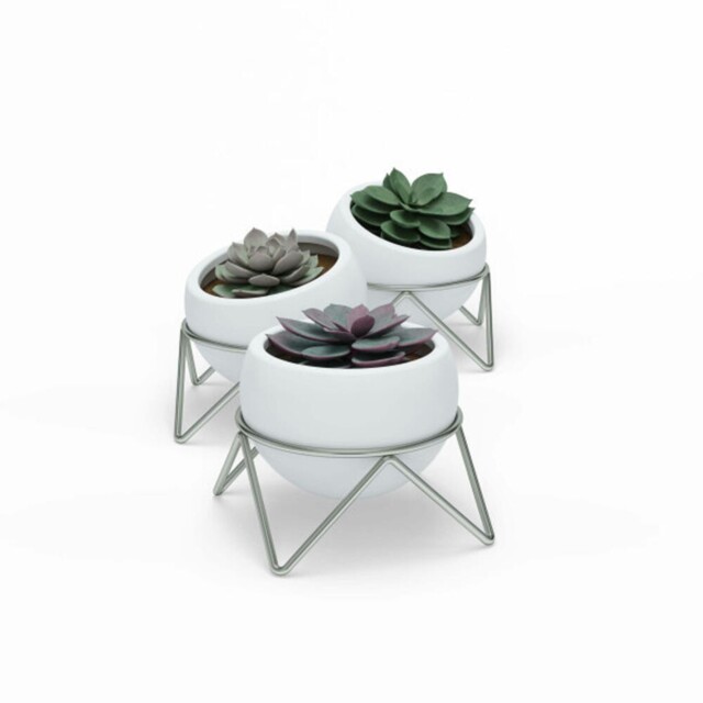 Umbra Potsy Table Vase Set Of 3 Cachepot Decorative Flowerpot