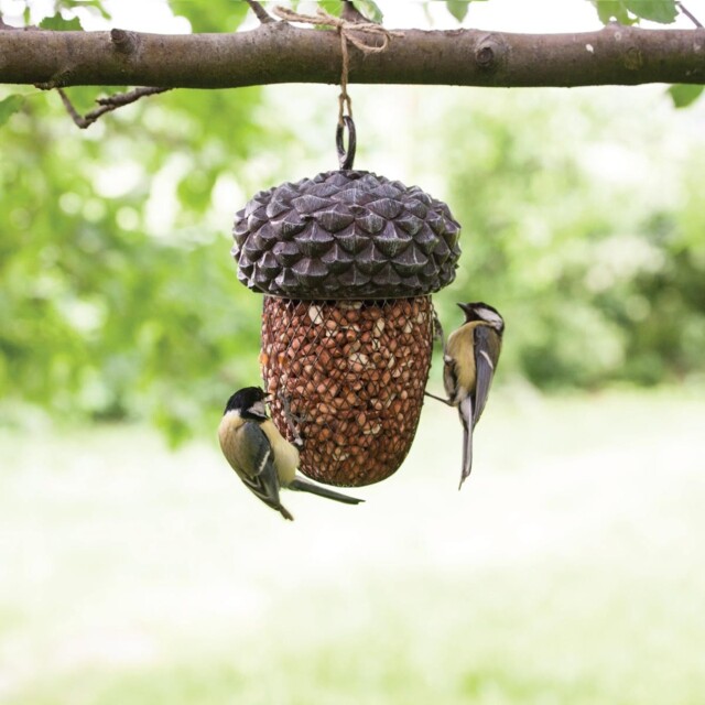 Hanging Bird Feeder Peanut Nut Feeder Iron Garden Wild Bird Acorn Food