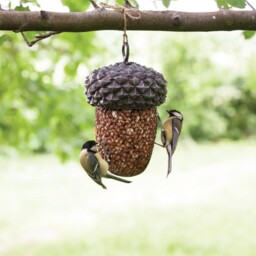 Hanging Bird Feeder Peanut Nut Feeder Iron Garden Wild Bird Acorn Food