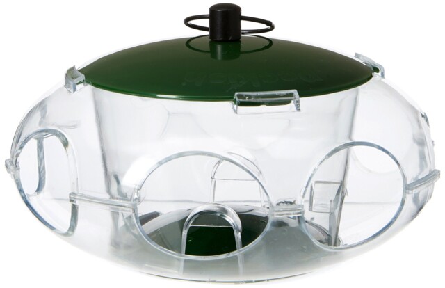 Peckish 60053061 Bird Seed Feeder For Small Birds 24.8 X 14.8 X 5.4 Cm