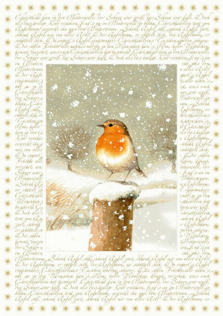 Coppenrath Christmas Robin Big Advent Calendar 41 Cm X 46 Cm Glitter