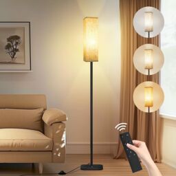 Dimmable Floor Lamp With Remote, 2700k-6500k Led, Modern Design For
