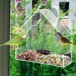 Window Bird Feeder Hanging Wild Garden Park Feeding Station Free Bird