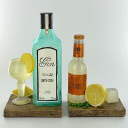 Pair Of Gin & Tonic Bookends Shelf Tidy Book Ends (12522)