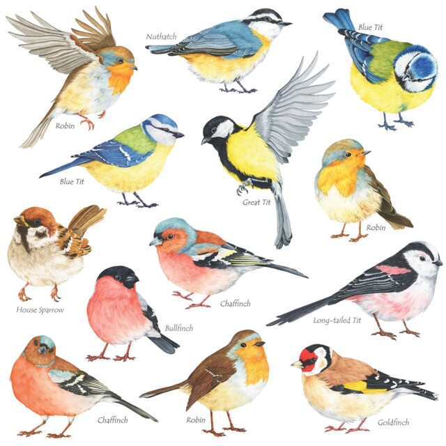 Decowall Ds2-8038 Little Birds Wall Art Stickers Colourful Small, Bird