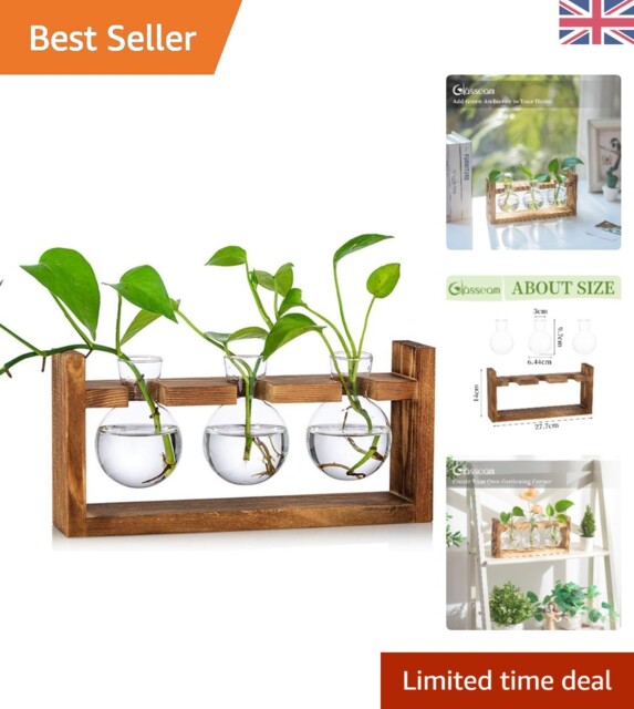 Modern Terrarium Planter Station With 3 Spherical Glass Vases & Wood