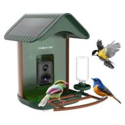Camouflage Ez Birdfeed 1 Bird Feeder Wildlife Camera