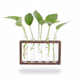 Desktop Glass Planter Propagation Station Wall Mount Tube Vase With