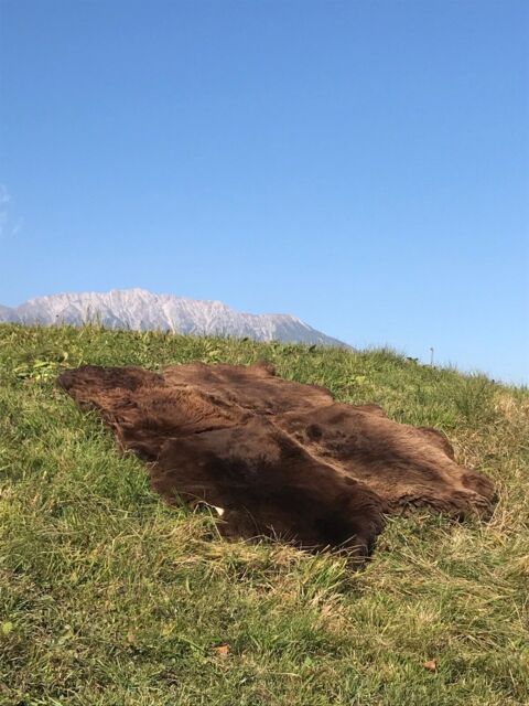 Real Natural Eco Sheepskin Rug Sheepskin Rug Lambskin 180 X 110 Cm