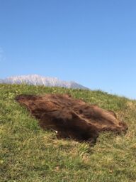 Real Natural Eco Sheepskin Rug Sheepskin Rug Lambskin 180 X 110 Cm