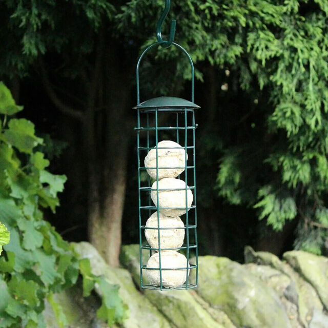 Suet Fat Ball Feeder Wild Garden Birds Hanging Loop Metal Green