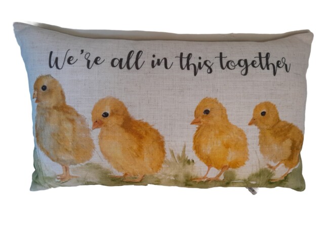 "Evans Litchfield We're In This Together Cushion 10"" X 18"""