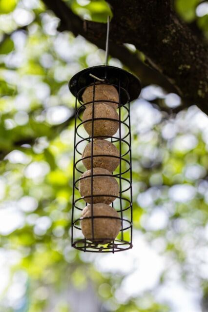 Hanging Bird Feeding Station Fat Suet Ball Feeder Garden Outdoor Decor