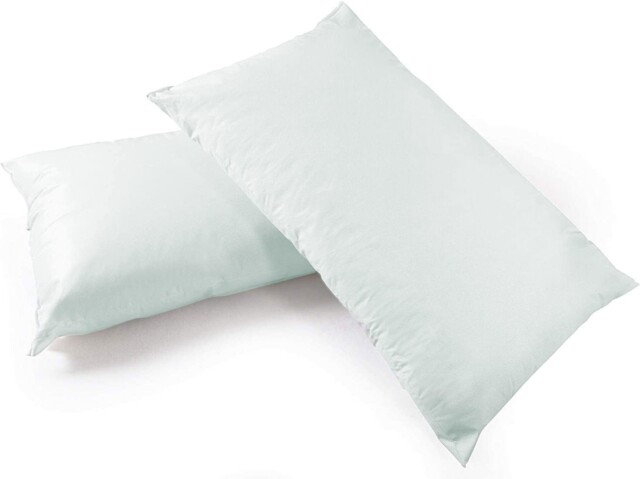 "Comfortnights, Light Green Tint 50 X 75 Cms (19½"" X 29½"") Approx, Tint"