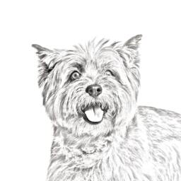 Cairn Terrier - Wooden Stand For Candles/Pens With The Image Of A Dog New Collection - thumbnail 2