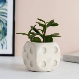 Dice Shaped Concrete Planter Handmade Home Decor - thumbnail 2