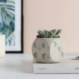 Dice Shaped Concrete Planter Handmade Home Decor - thumbnail 3